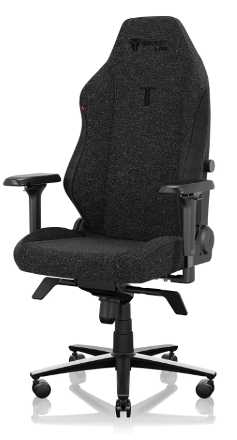 Secretlab Titan Regular